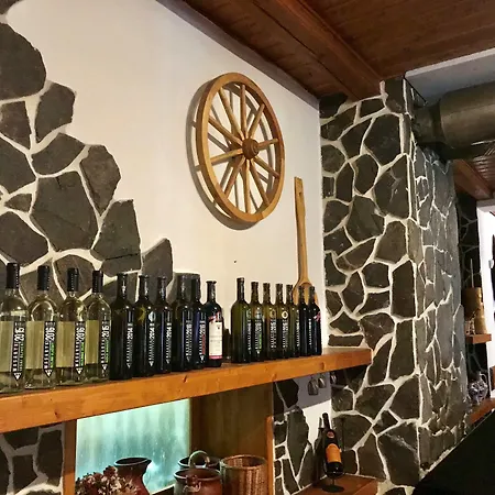 招待所 库科利巴斯特凡膳食公寓