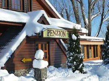 Pensjonat - Koliba U Stefana Poprad